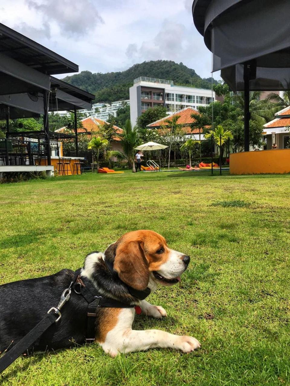 Jazz U Garden Resort 卡塔海滩 外观 照片